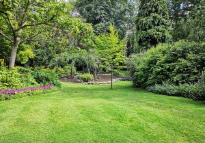 Optimiser l'expérience du jardin à Avilly-Saint-Leonard